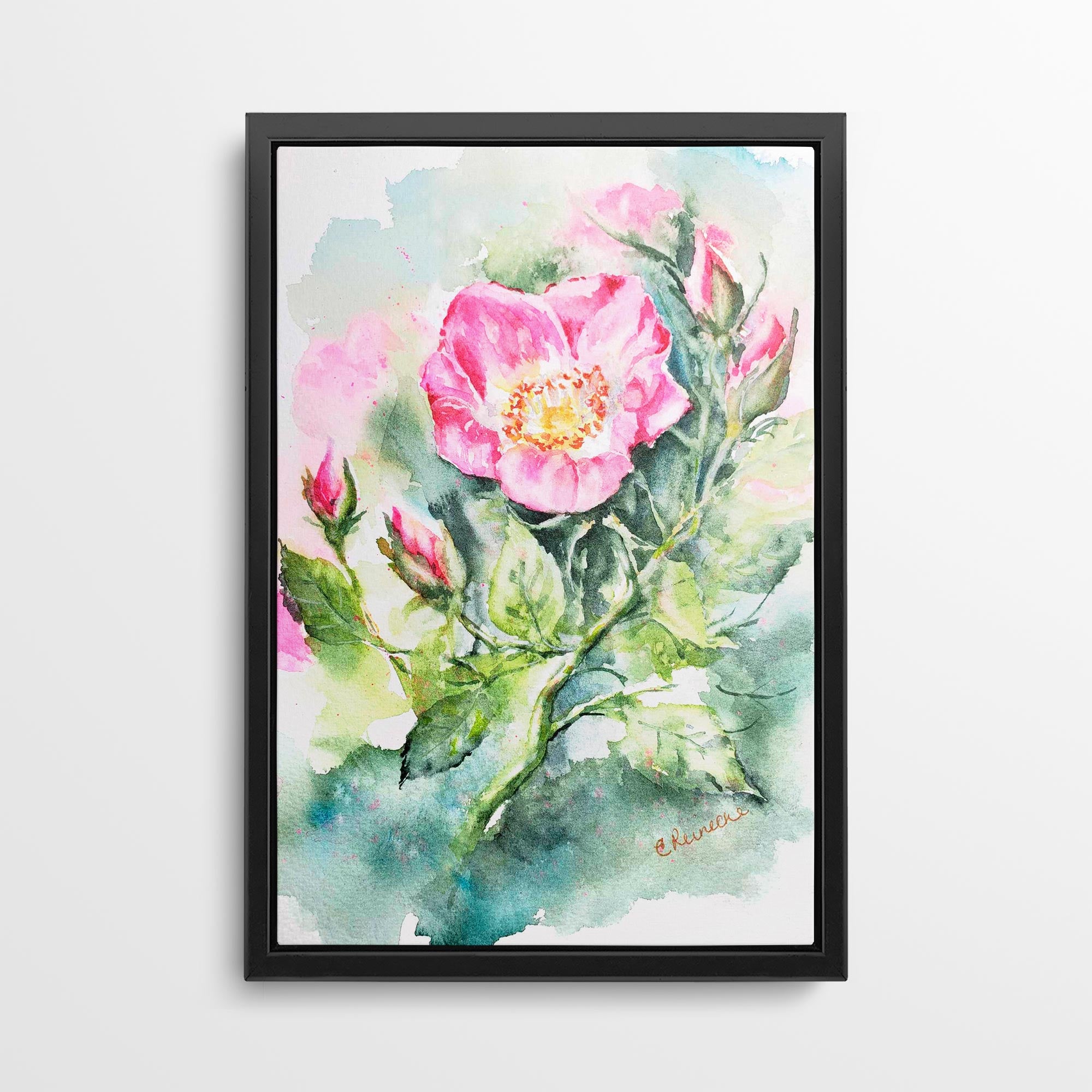 Wild Rose Canvas Wall Art Print of Watercolor by Conni Reinecke