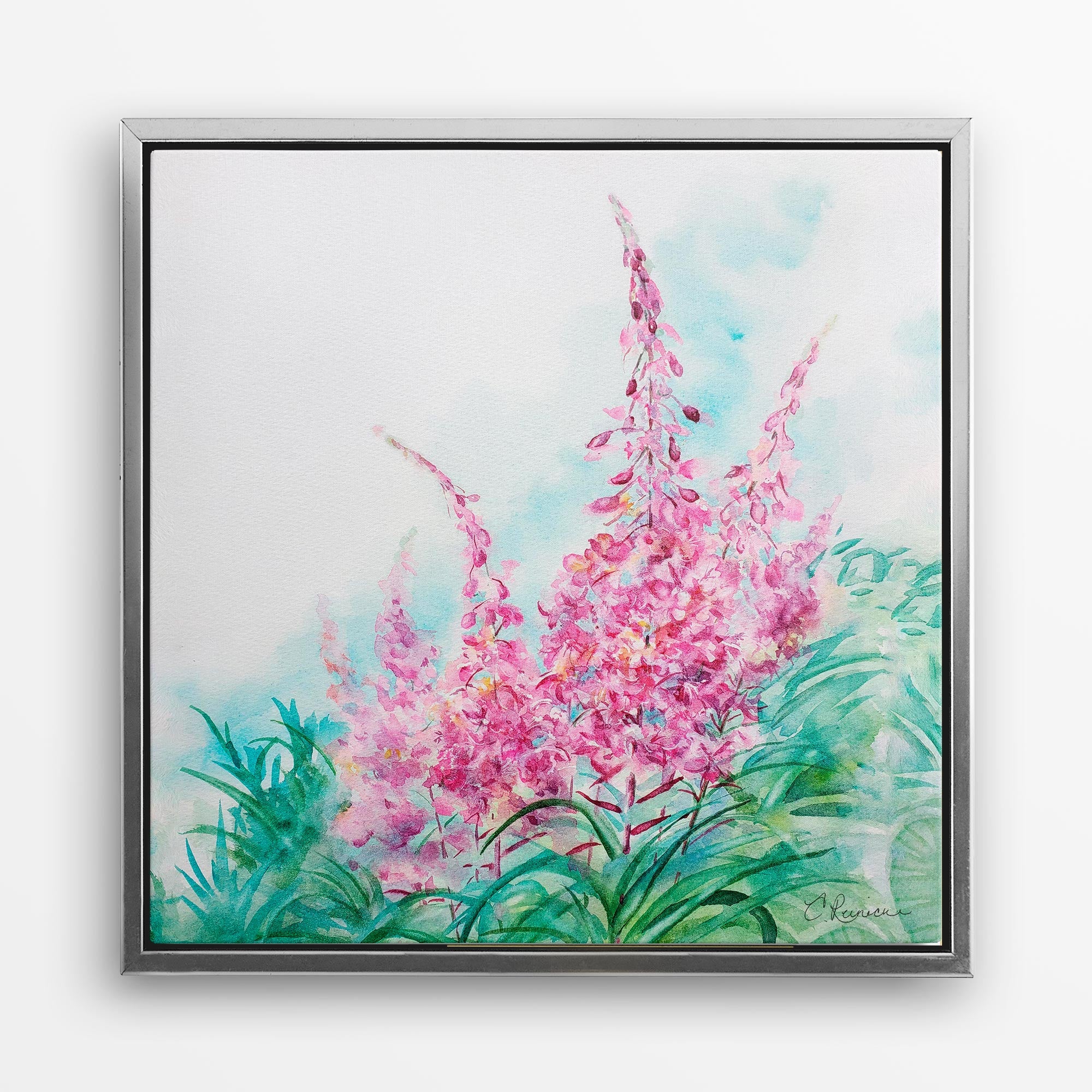 Pink Flower Canvas Fireweed Wildflower Wall Art Print by Conni Reinecke