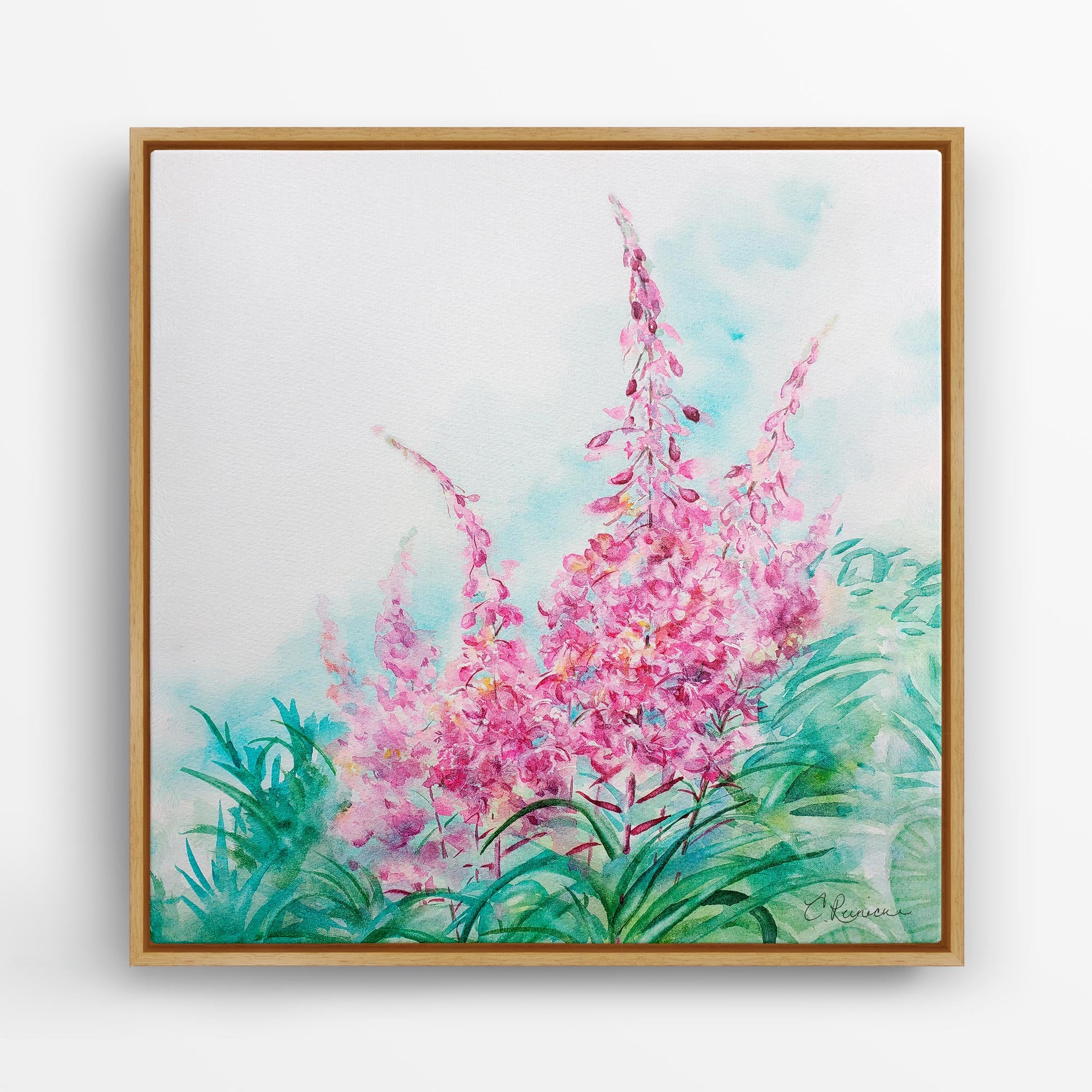 Pink Flower Canvas Fireweed Wildflower Wall Art Print by Conni Reinecke