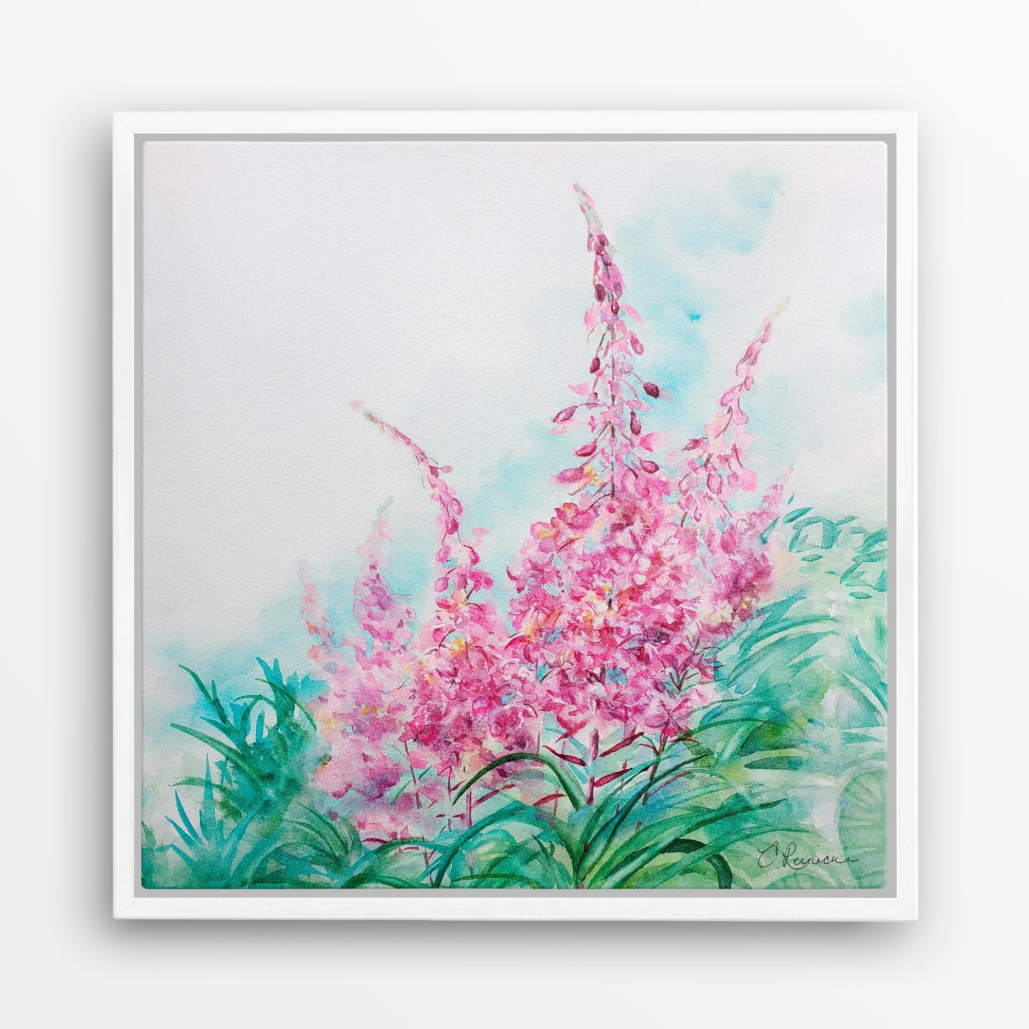 Pink Flower Canvas Fireweed Wildflower Wall Art Print by Conni Reinecke