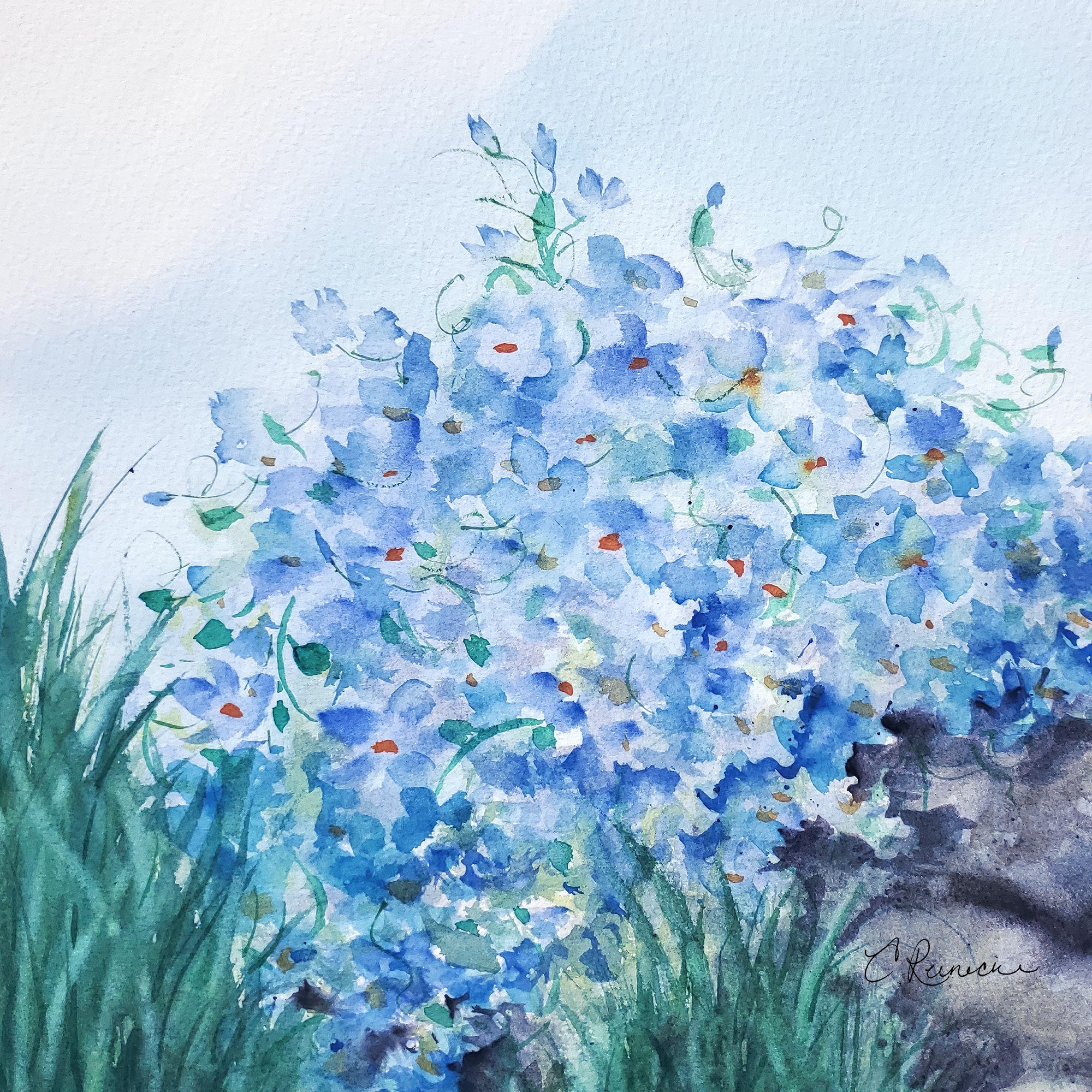 Forget Me Not Wall Art Print on Canvas by Conni Reinecke