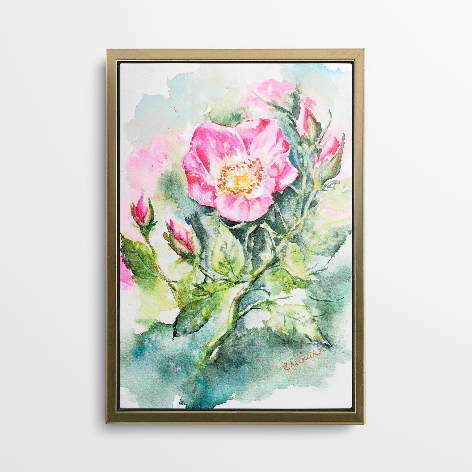 Wild Rose Canvas Wall Art Print of Watercolor by Conni Reinecke