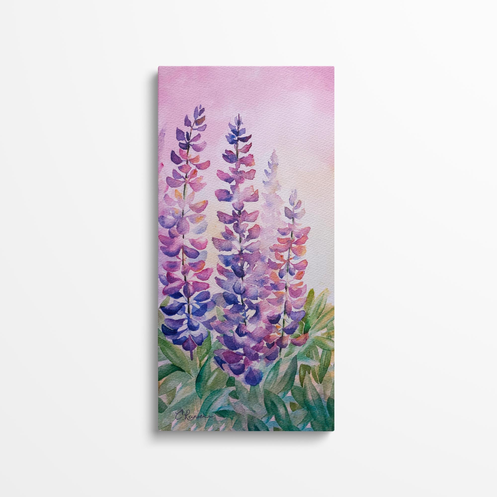 Lupine Painting Wildflower Canvas Wall Art by Conni Reinecke