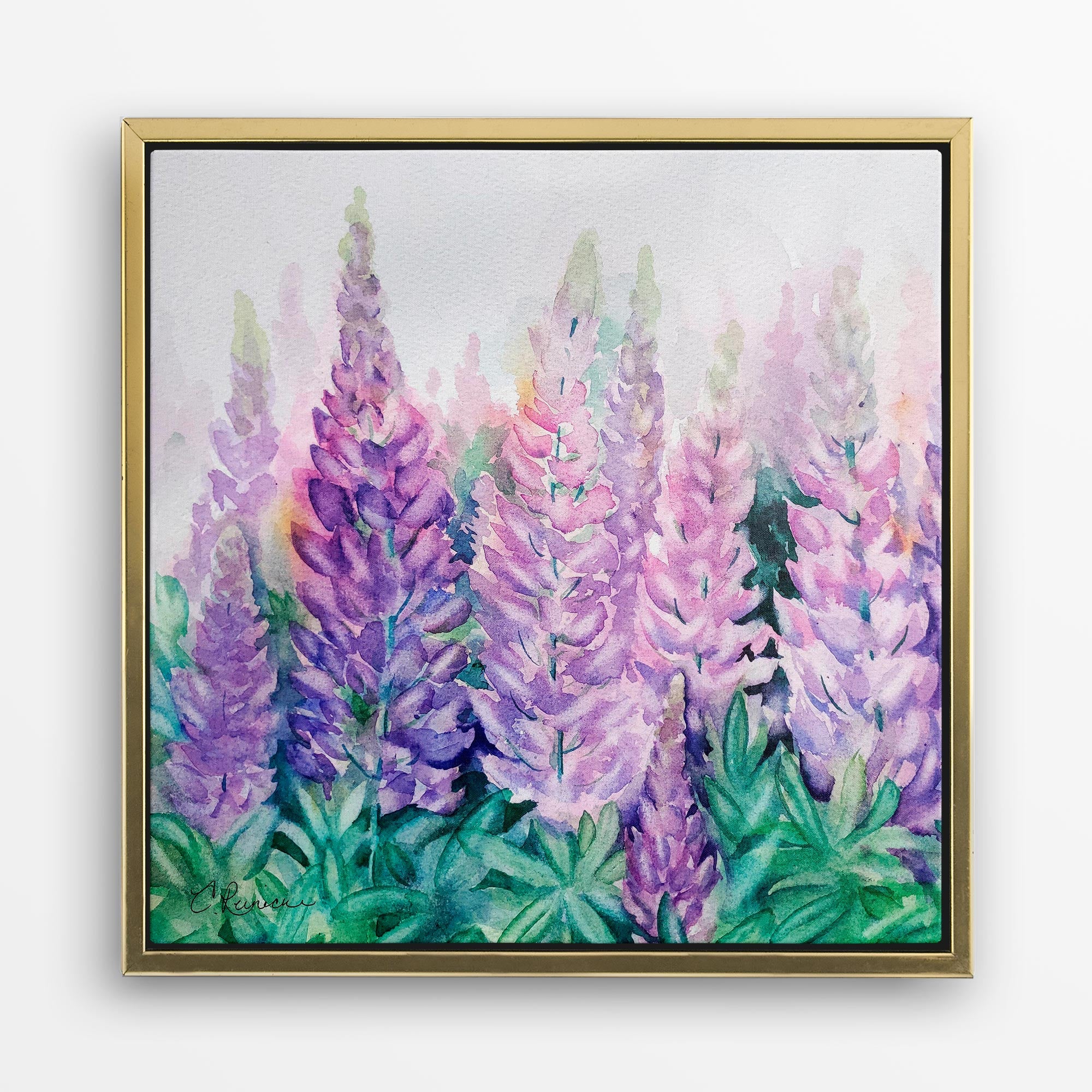 A gold-framed wall art canvas of a lupine wildflower print. The print is of a group of lupine wildflowers in various shades of purple and blue. The flowers are in a field of green leaves. The background is white. The image is signed by the artist, Conni Reinecke in the bottom left corner.