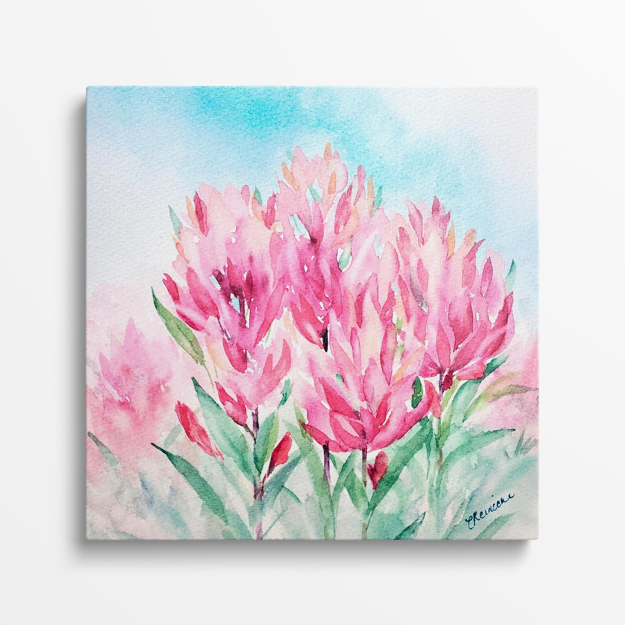 Mountain Indian Paintbrush Wall Art Canvas by Conni Reinecke