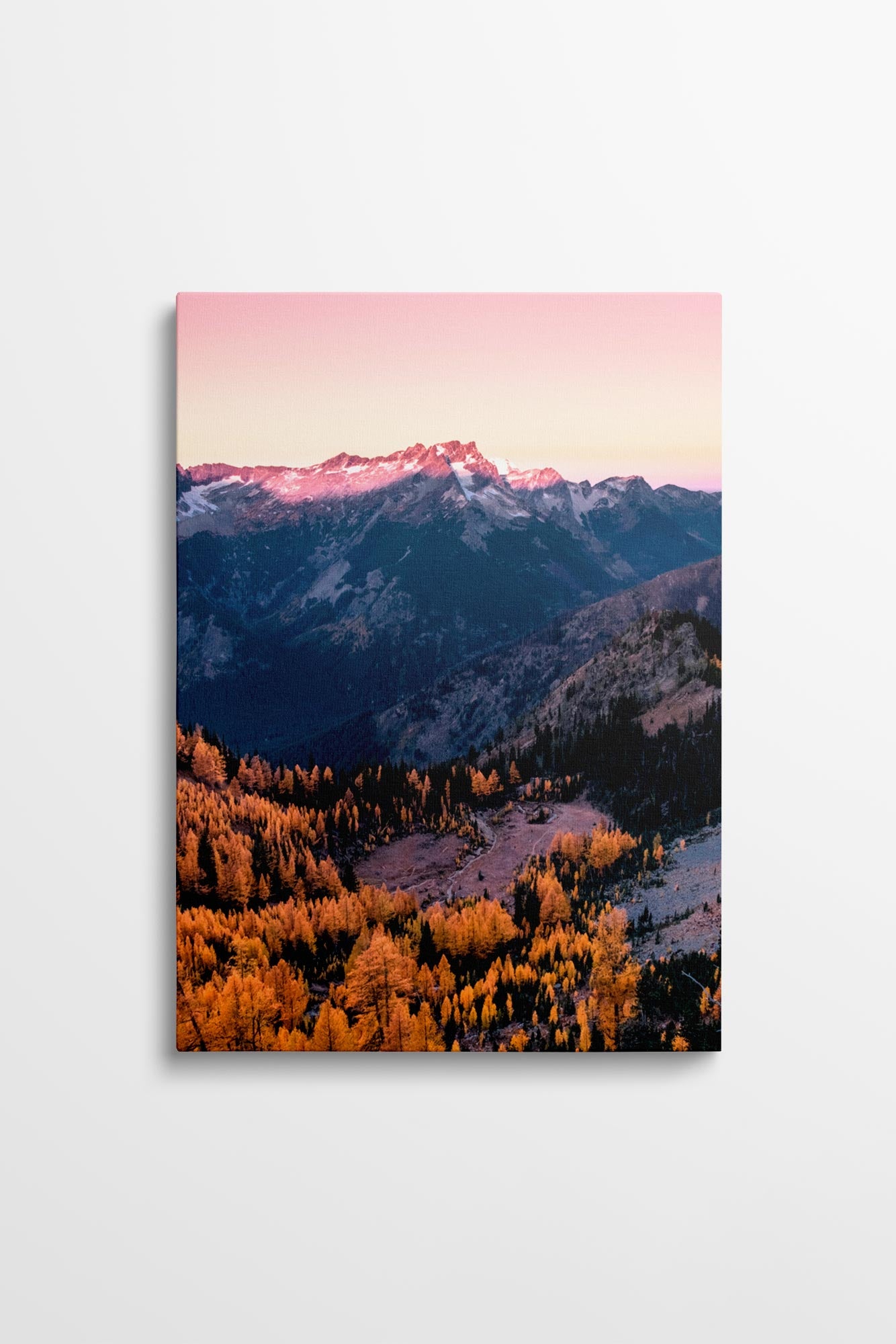 Cascade Vista Larches - Alpenglow Canvas Wall Art Photo by Tobin Akehurst