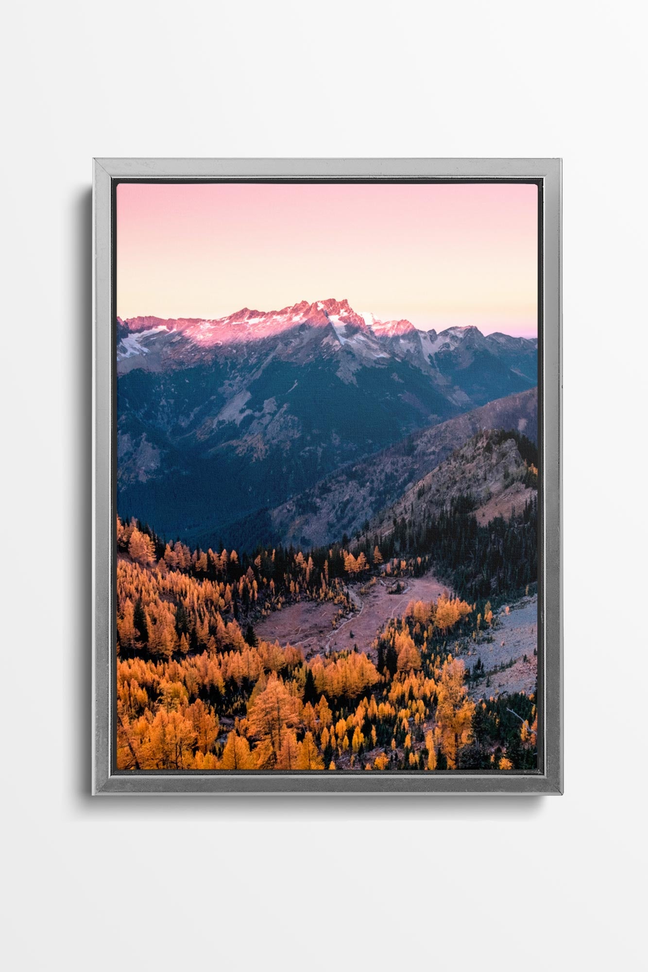 Cascade Vista Larches - Alpenglow Canvas Wall Art Photo by Tobin Akehurst