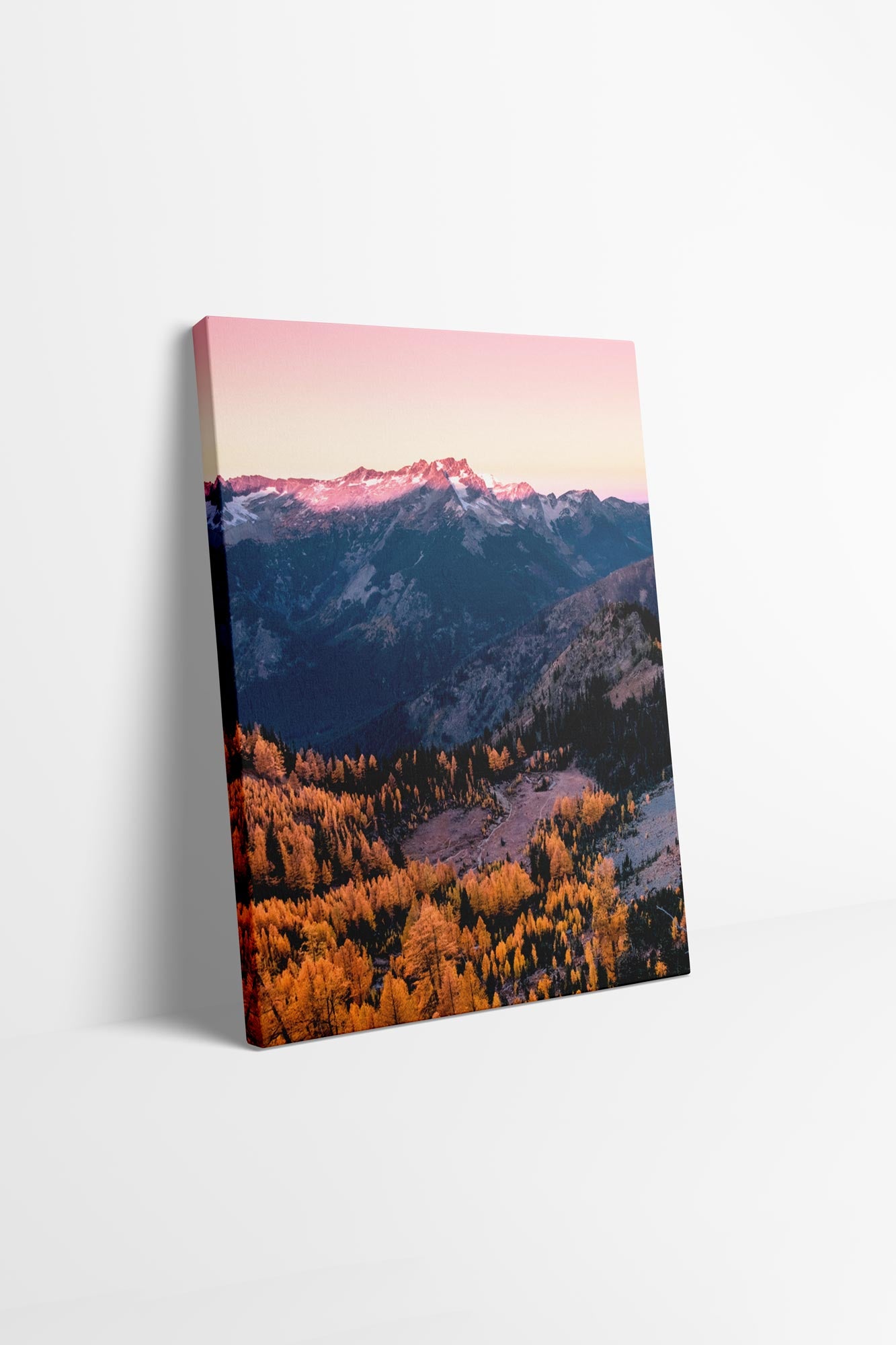 Cascade Vista Larches - Alpenglow Canvas Wall Art Photo by Tobin Akehurst