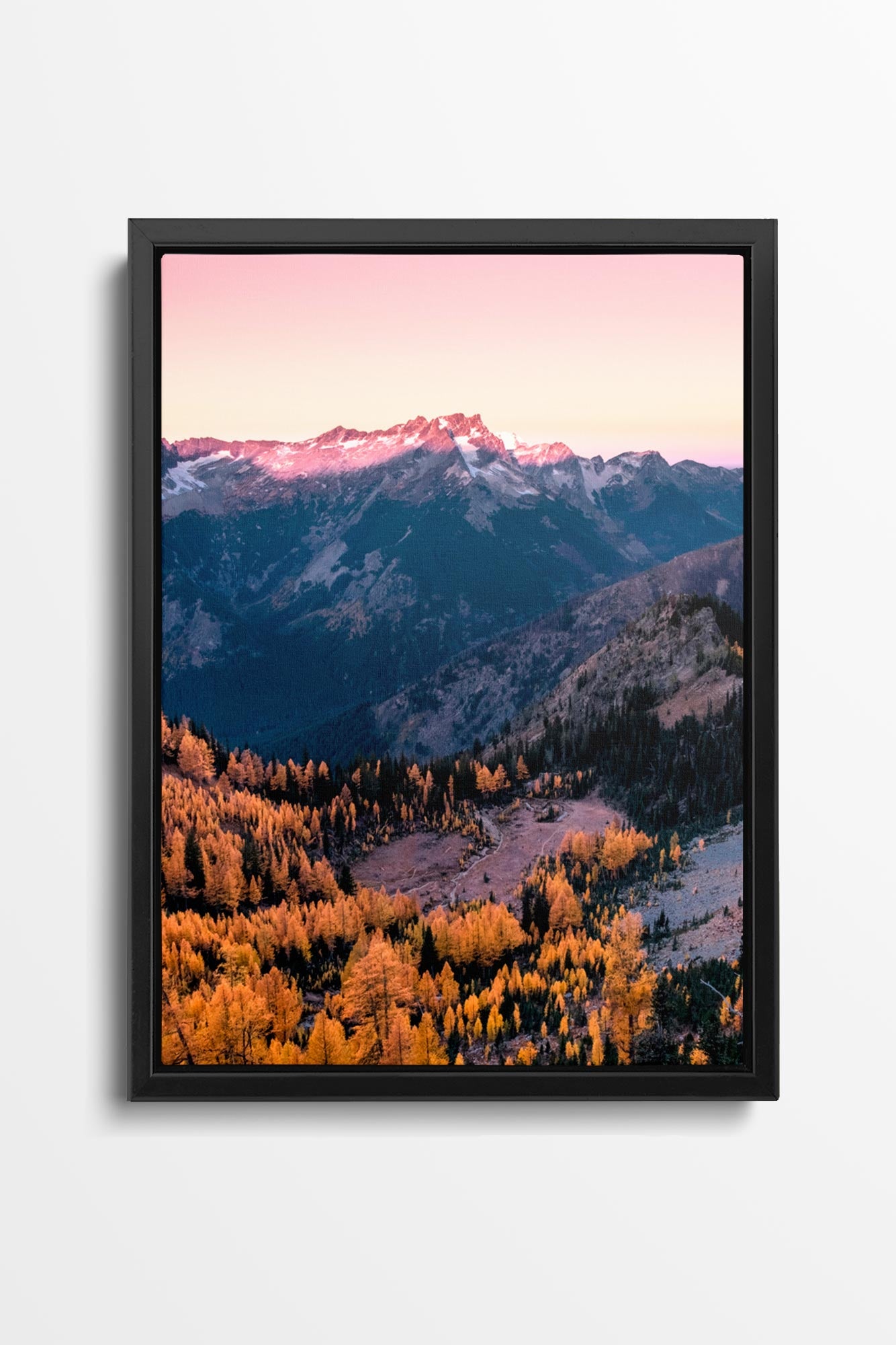 Cascade Vista Larches - Alpenglow Canvas Wall Art Photo by Tobin Akehurst