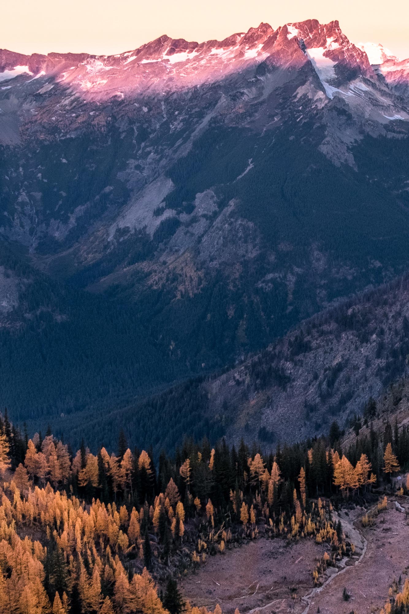 Cascade Vista Larches - Alpenglow Canvas Wall Art Photo by Tobin Akehurst