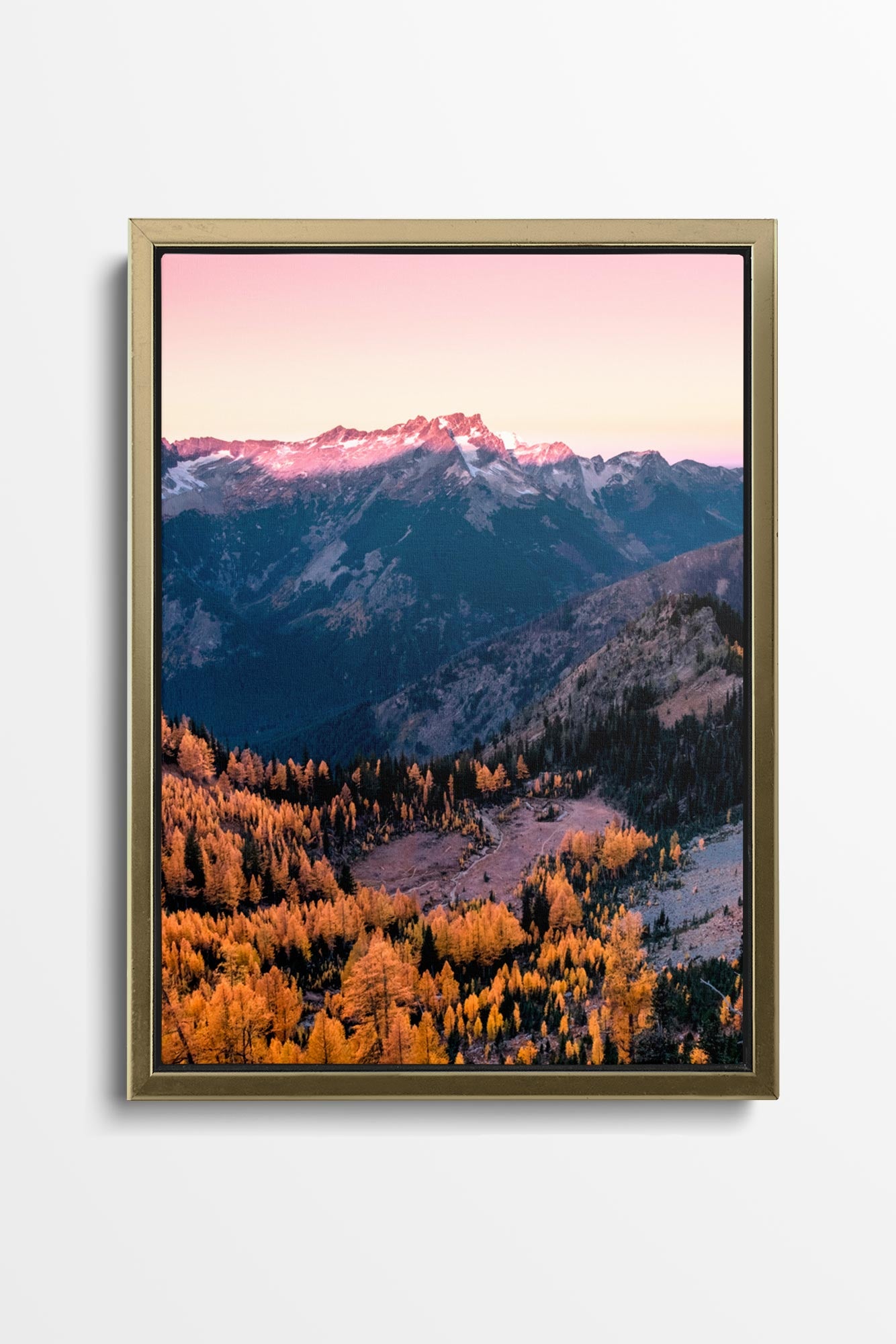 Cascade Vista Larches - Alpenglow Canvas Wall Art Photo by Tobin Akehurst