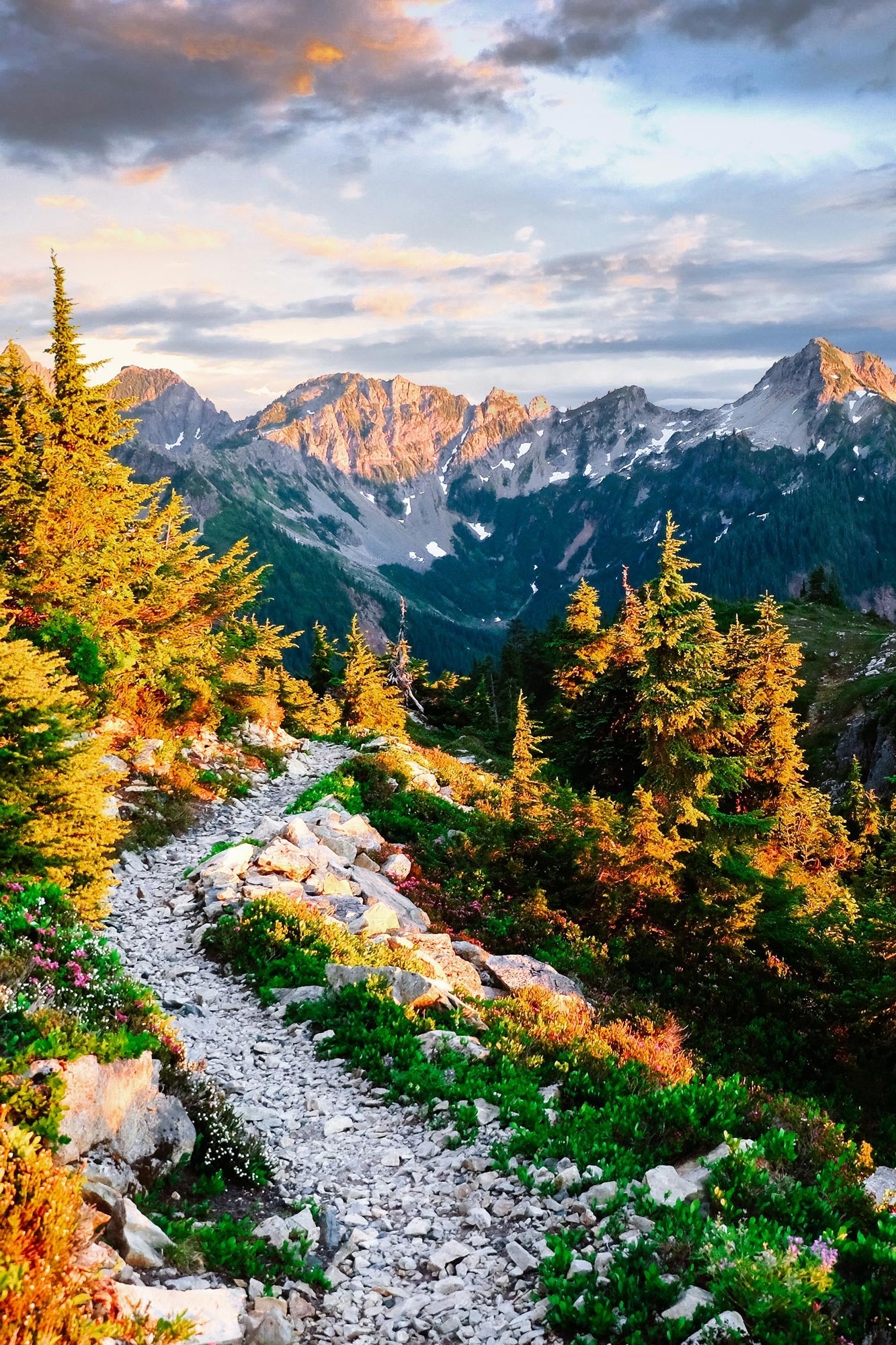 Pacific Crest Trail Vista - North Cascades Wall Art Canvas Photo by Tobin Akehurst