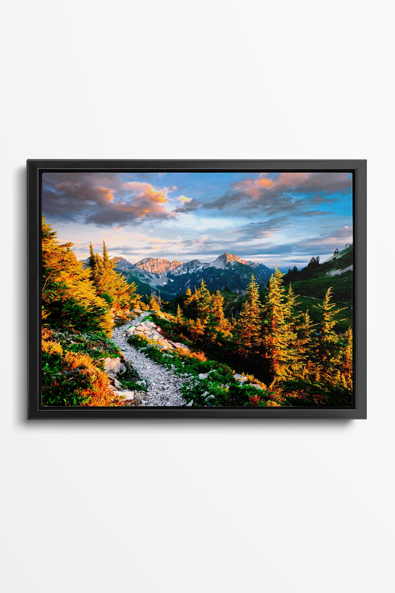 Pacific Crest Trail Vista - North Cascades Wall Art Canvas Photo by Tobin Akehurst