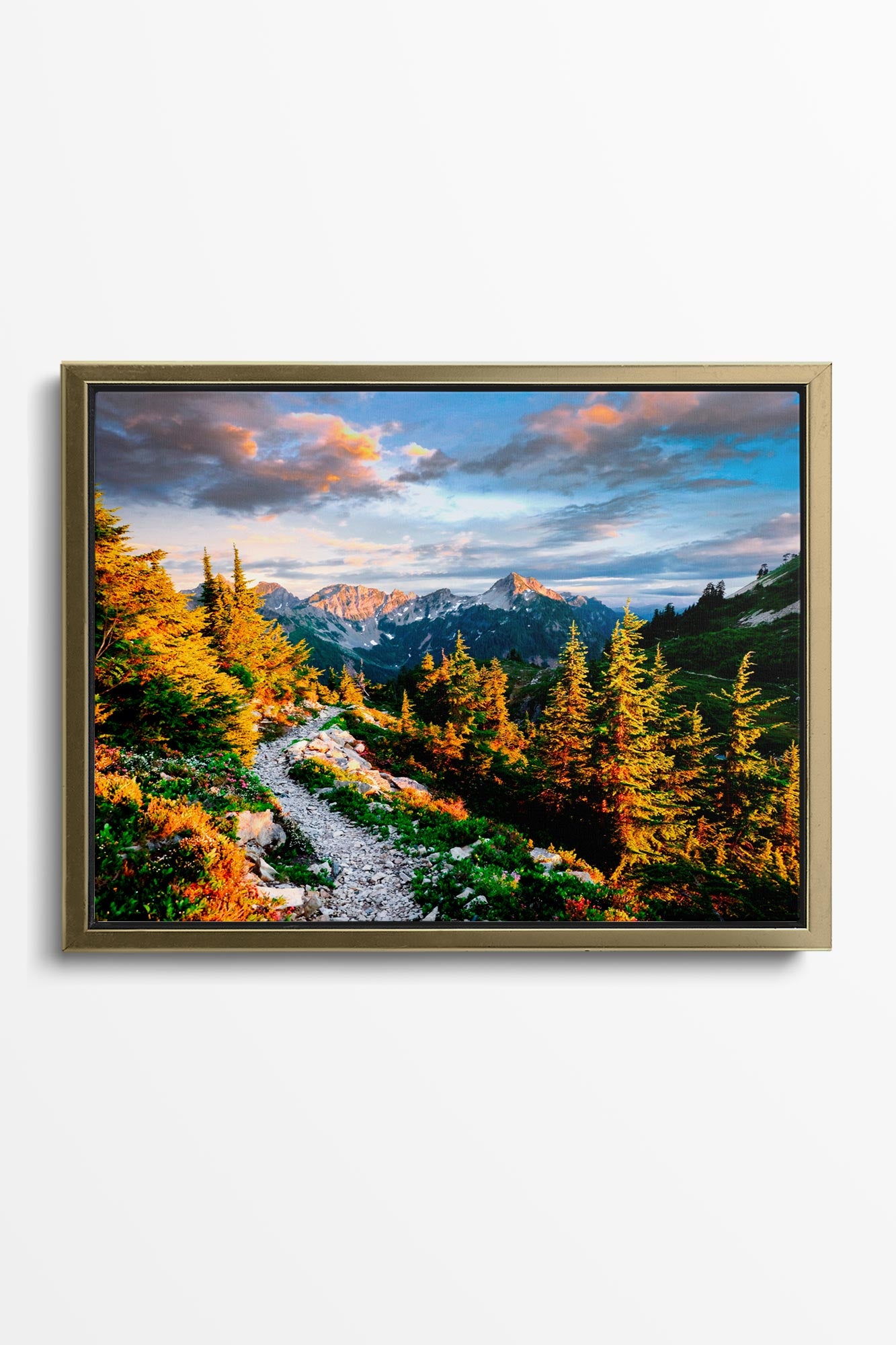 Pacific Crest Trail Vista - North Cascades Wall Art Canvas Photo by Tobin Akehurst