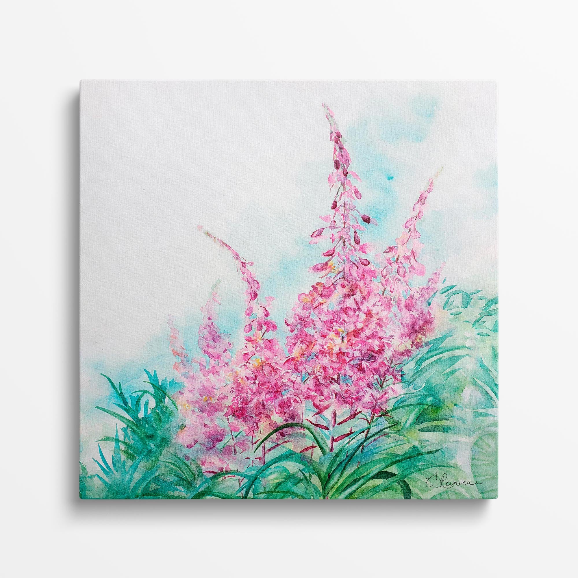 Pink Flower Canvas Fireweed Wildflower Wall Art Print by Conni Reinecke