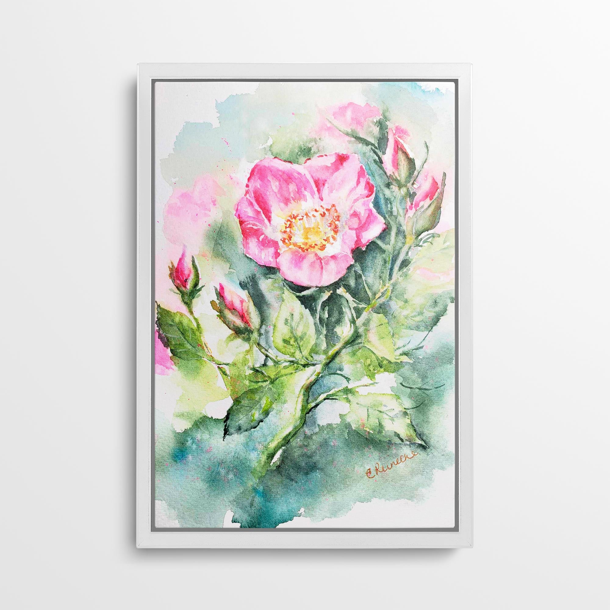 Wild Rose Canvas Wall Art Print of Watercolor by Conni Reinecke