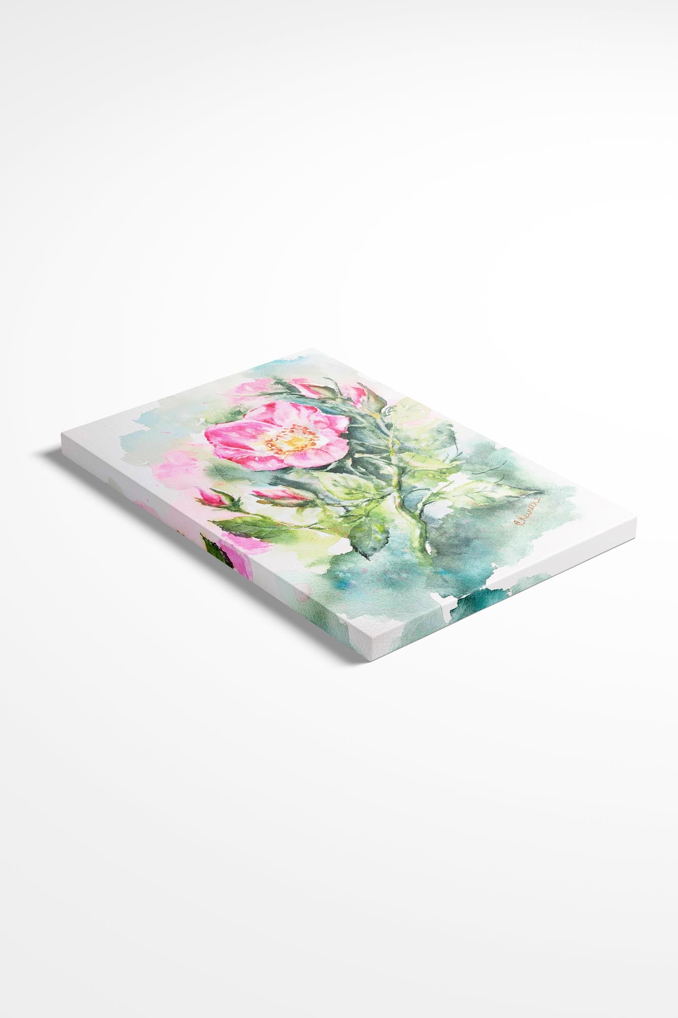 Wild Rose Canvas Wall Art Print of Watercolor by Conni Reinecke