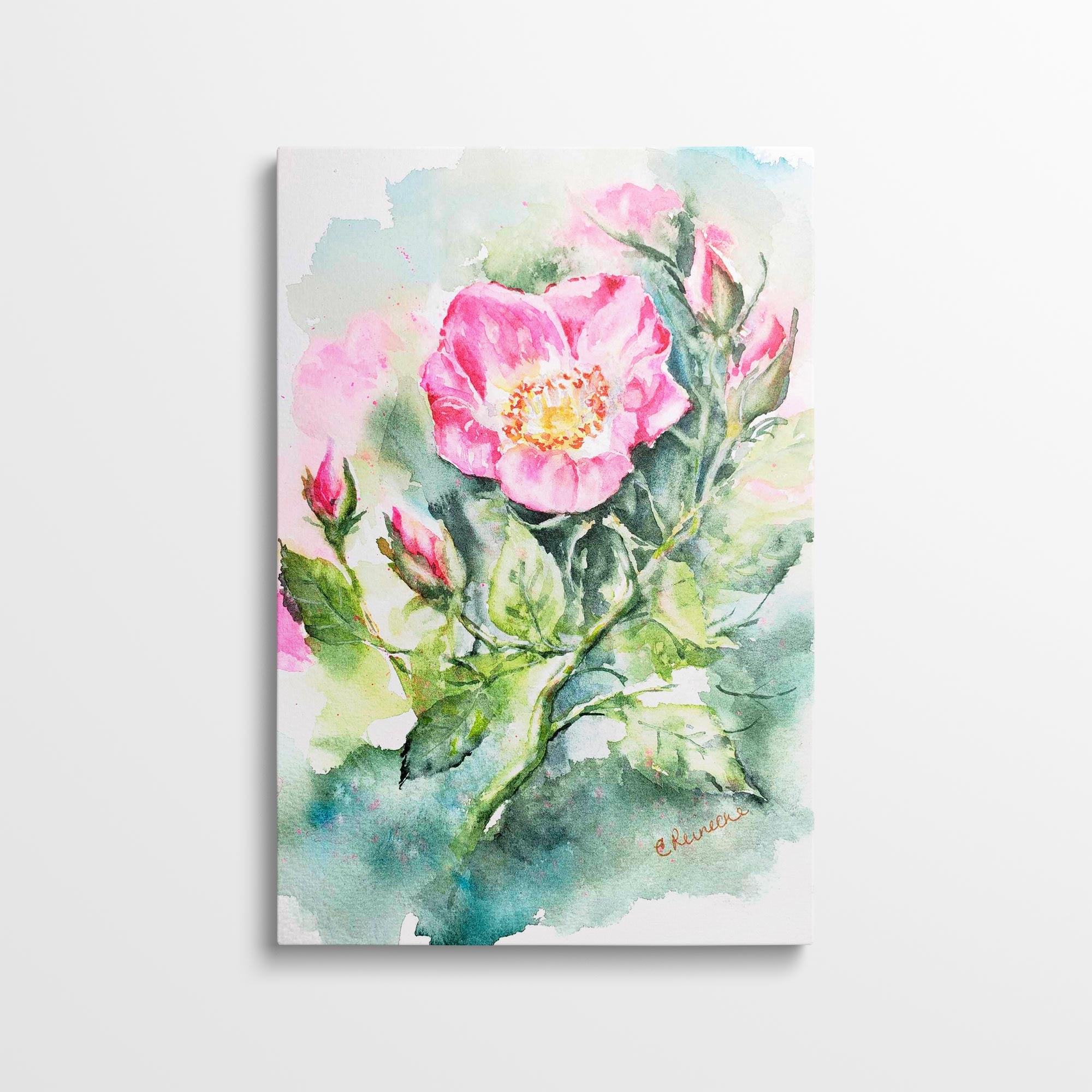 Wild Rose Canvas Wall Art Print of Watercolor by Conni Reinecke