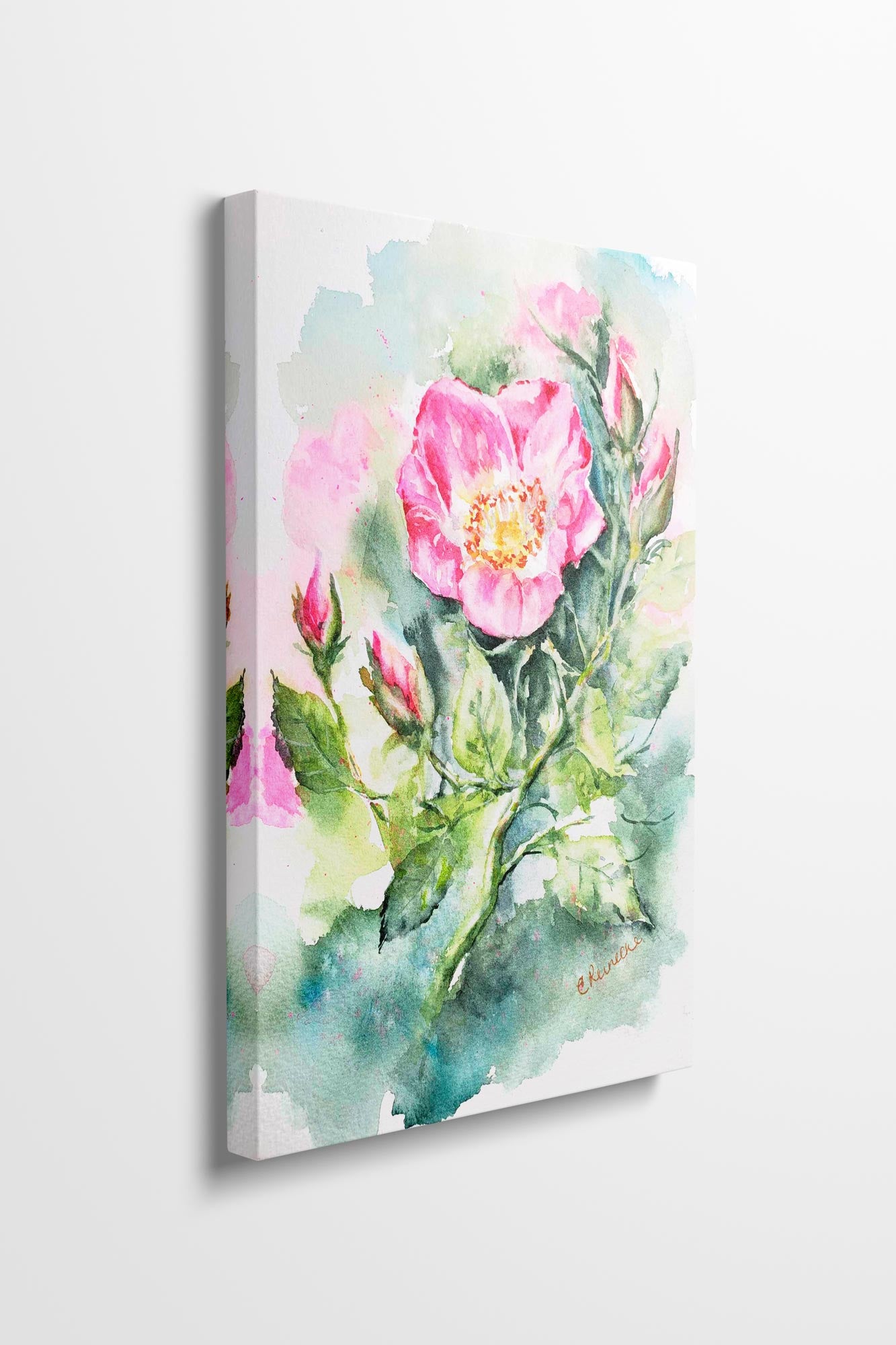 Wild Rose Canvas Wall Art Print of Watercolor by Conni Reinecke