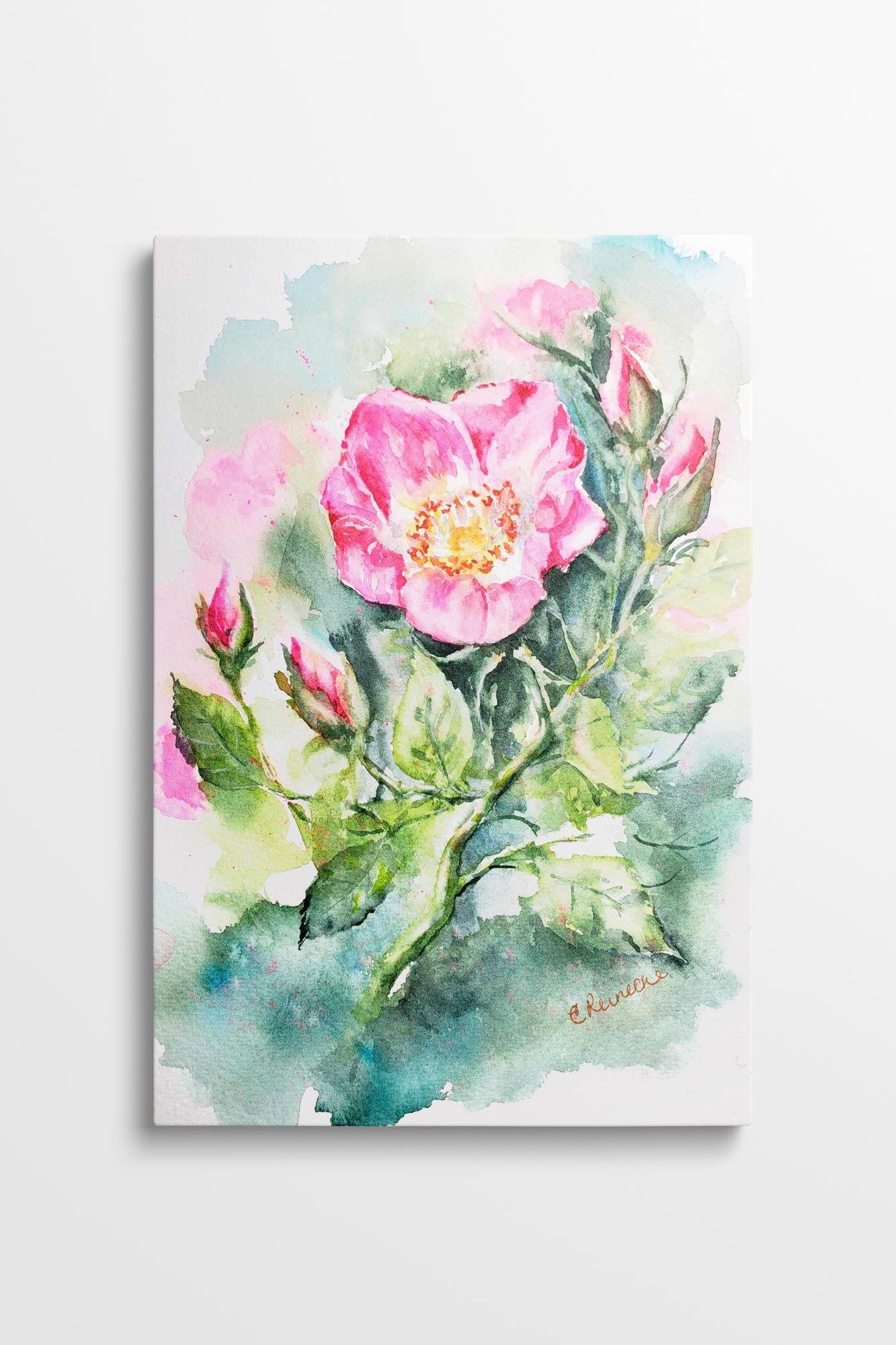 Wild Rose Canvas Wall Art Print of Watercolor by Conni Reinecke