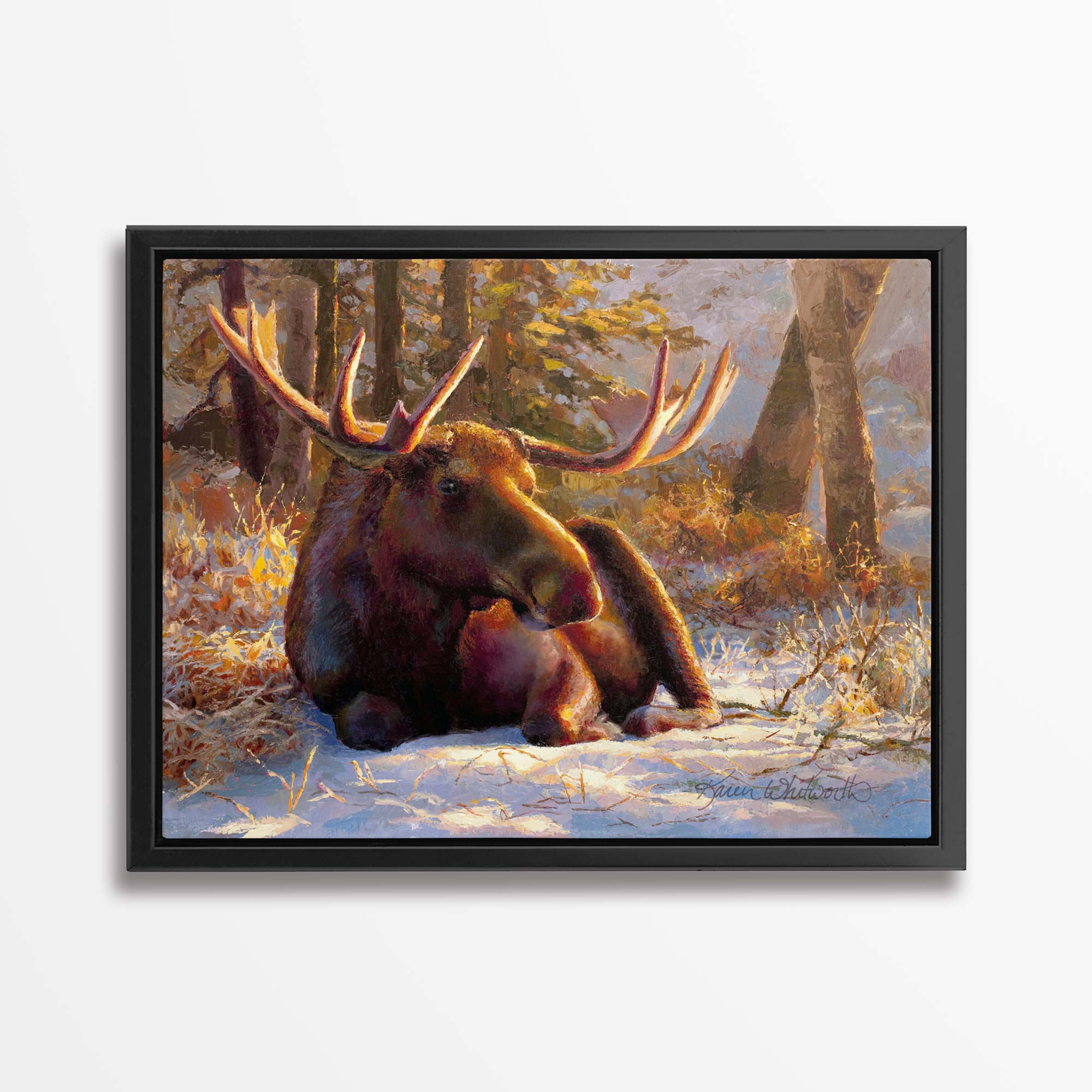 Winter Bull - Large Moose Canvas Art by Karen Whitworth