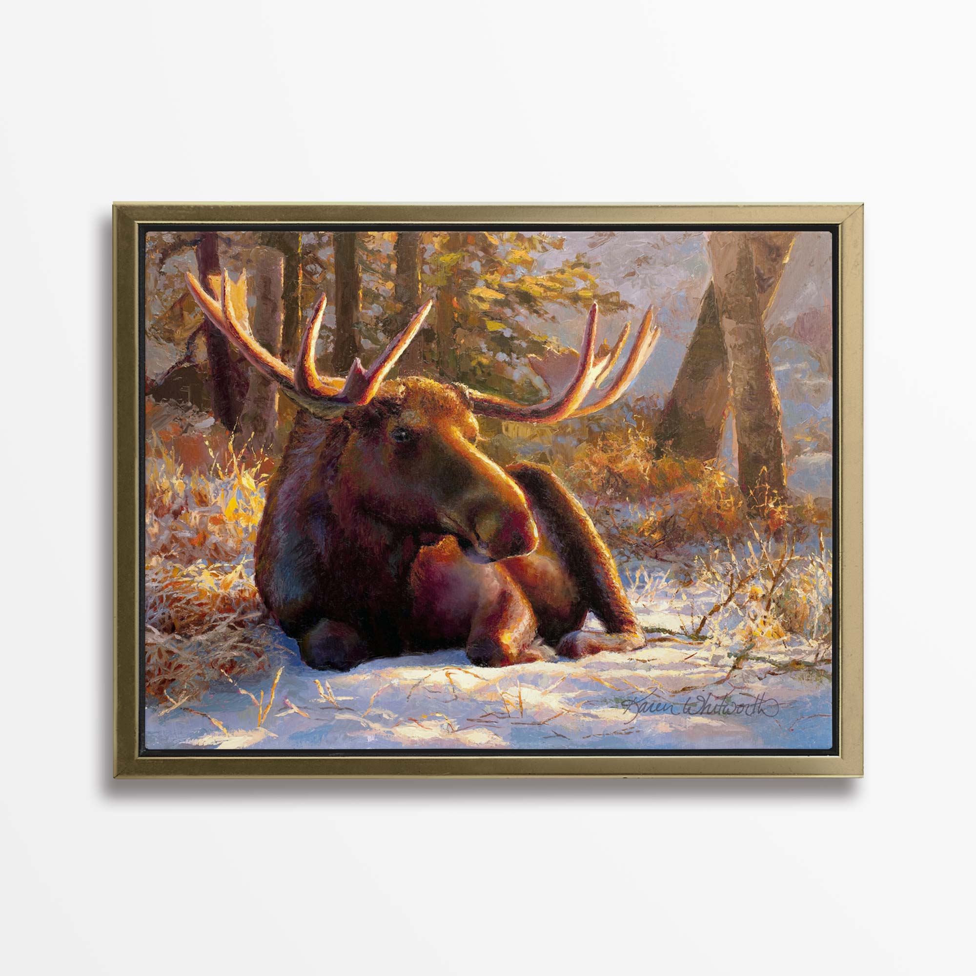 Winter Bull - Large Moose Canvas Art by Karen Whitworth