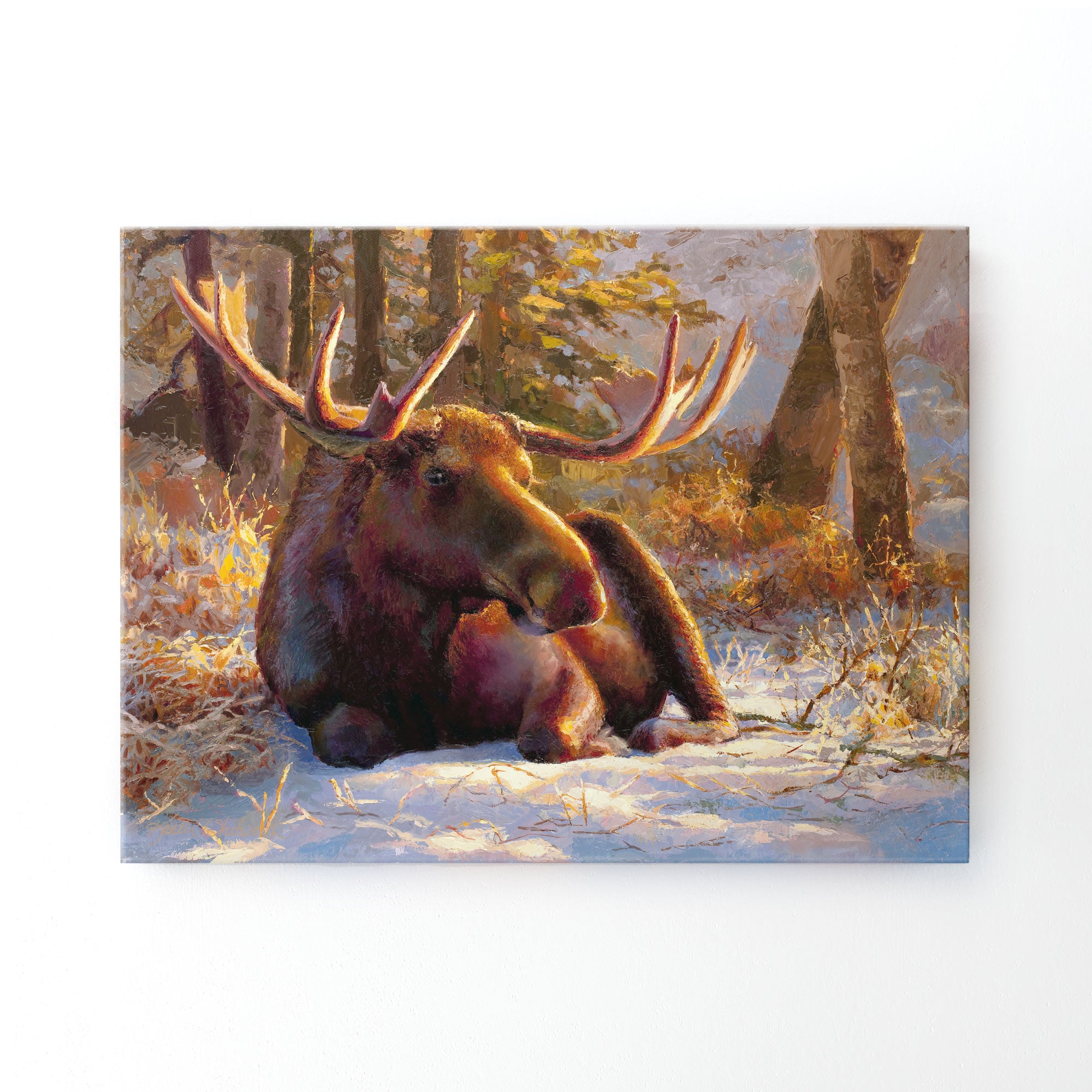 Winter Bull - Large Moose Canvas Art by Karen Whitworth