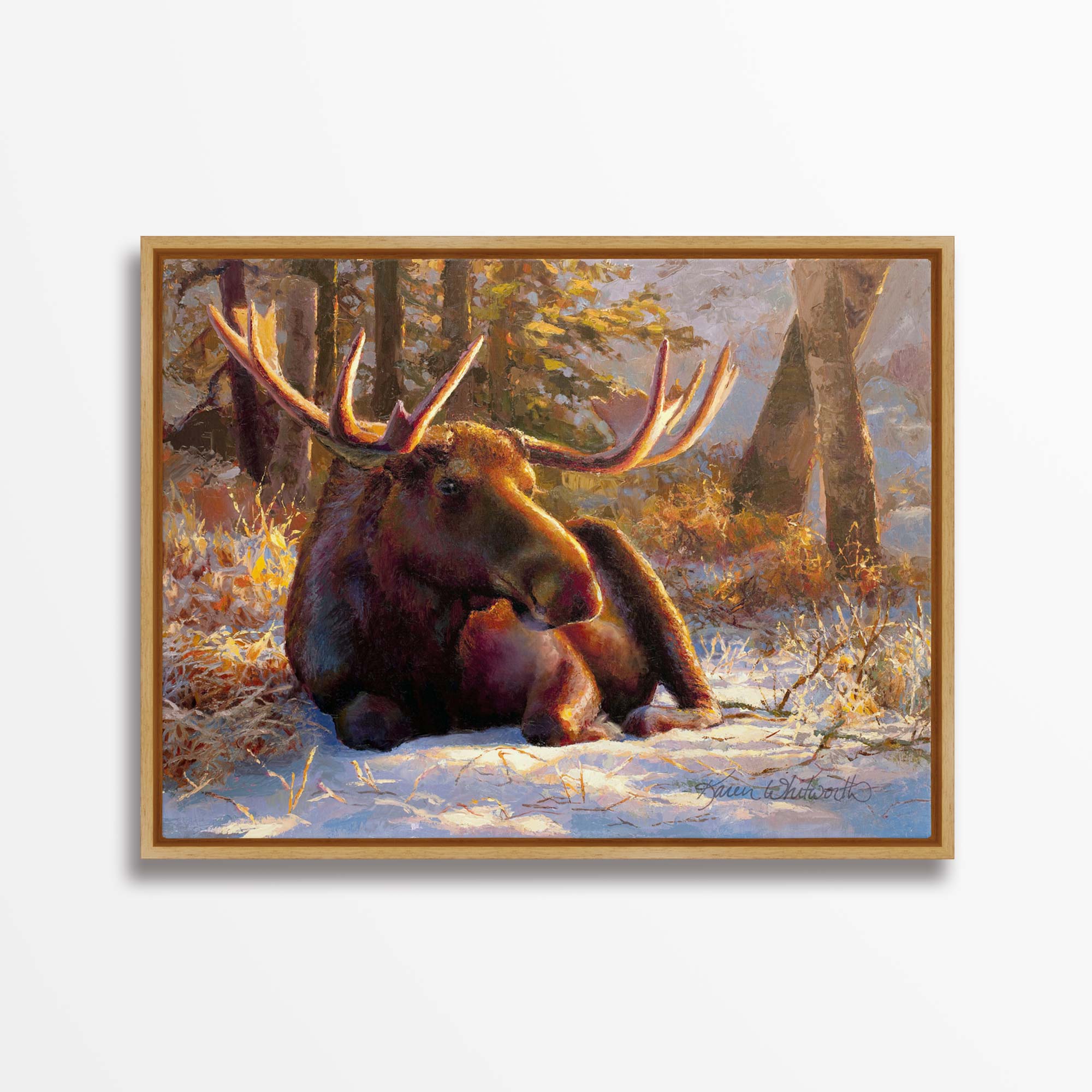 Winter Bull - Large Moose Canvas Art by Karen Whitworth